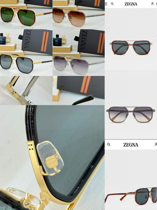 Picture of Zegna Sunglasses _SKUfw66525875fw